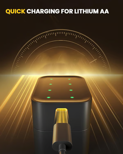 🔋AA/AAA Lithium Battery Smart Charging Case
