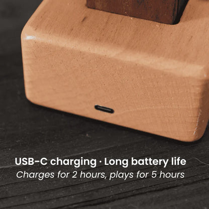 🌊 Handcrafted wooden manta ray mechanical ornament | A meticulously crafted marine art automated device